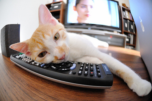 VR电竞新玩法引领未来,沉浸式体验震撼来袭,电竞主机vr游戏平台