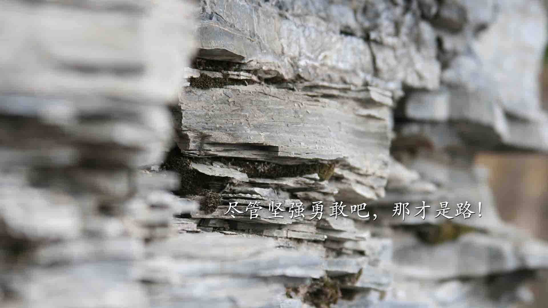 开云体育网页版入口-_运动员家庭故事：背后支持他们的亲情力量_，运动员家庭条件都很好吗