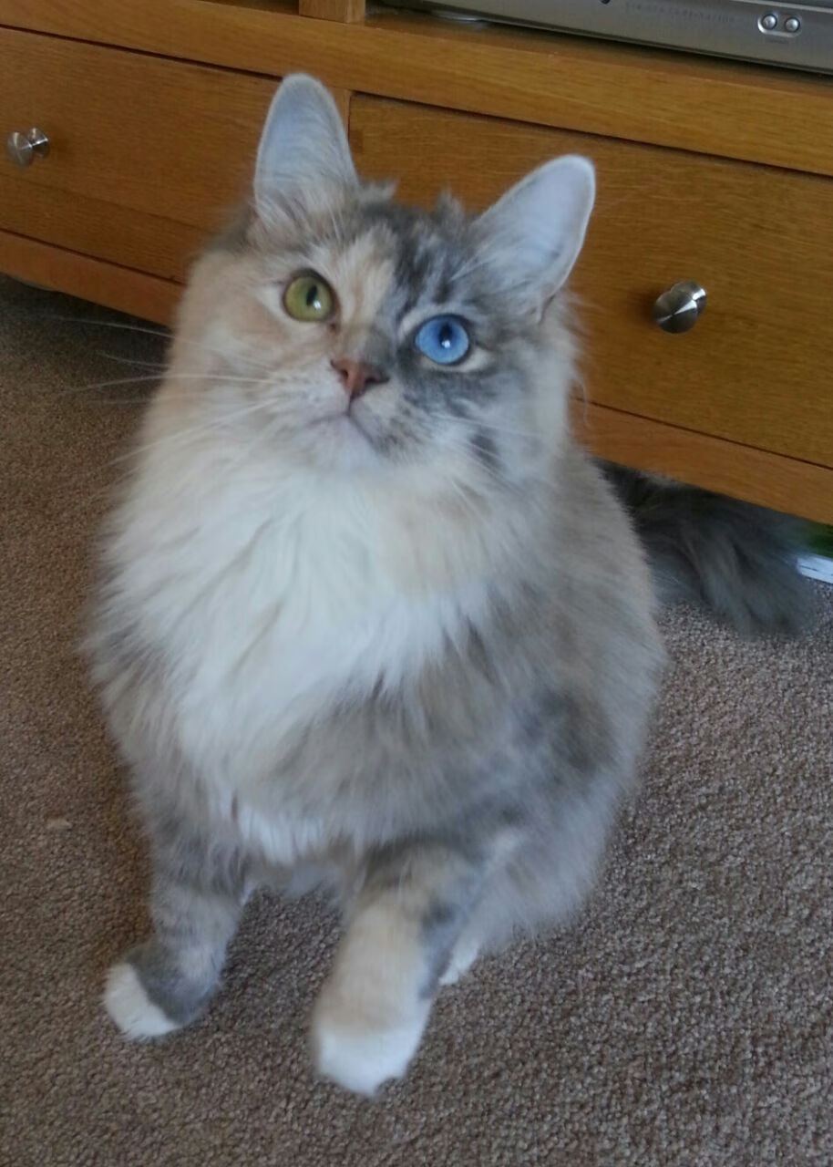 开云网页版登录入口-“季后赛首轮战火蔓延，强队遇强队，实力比拼进入白热化”，2022季后赛