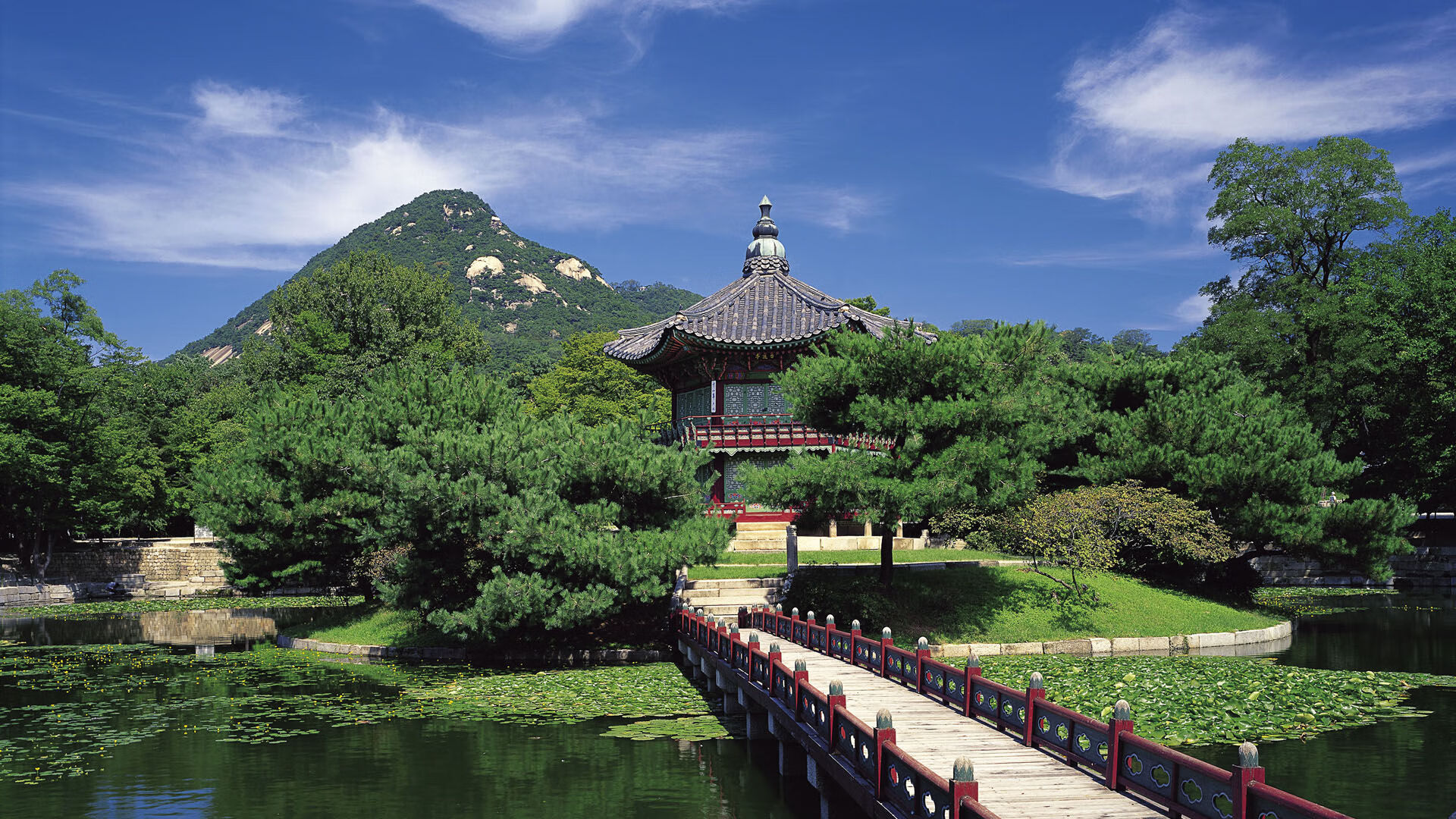 开云APP-“智慧青训：AI定制成长路径，未来星途由科技铺就”，智慧青年