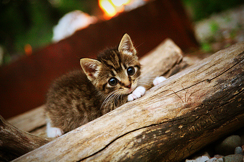 kaiyun网站-“青训+产业融合”赢得行业未来新蓝天，行业布局日臻完善