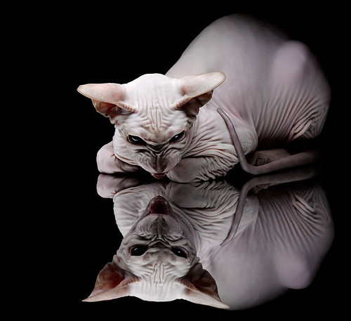 Kaiyun APP-【裁判经验】判罚争议预警：如何避免误判？，对裁判判罚有争议