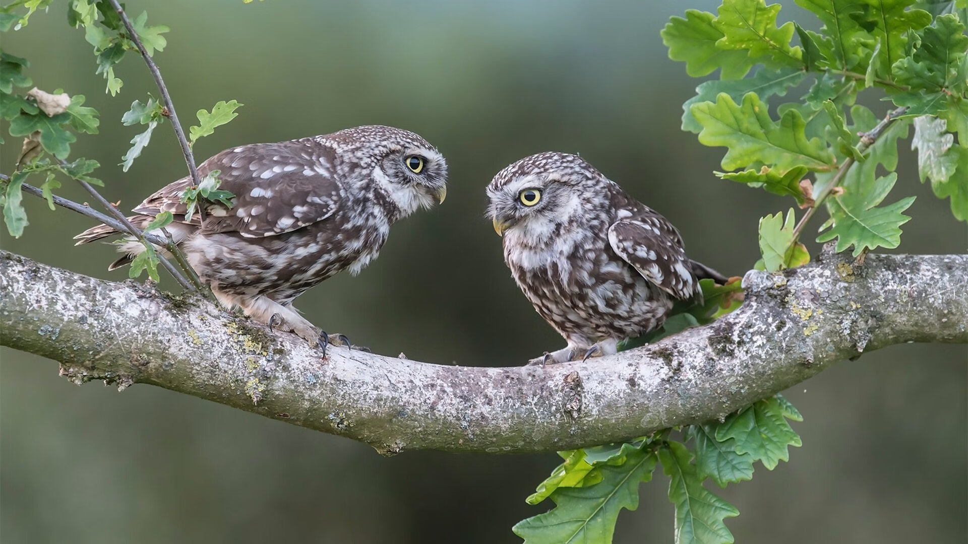 Kaiyun(中国)开云-【经典逆转】赛事回顾：顶级运动员如何用战术扭转局势？，体育史上十大逆转