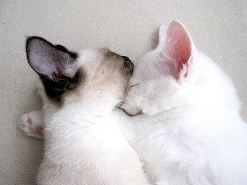 全国青少年“篮球争霸赛”火热进行,彰显青春活力,jl3×3青少年篮球公开赛