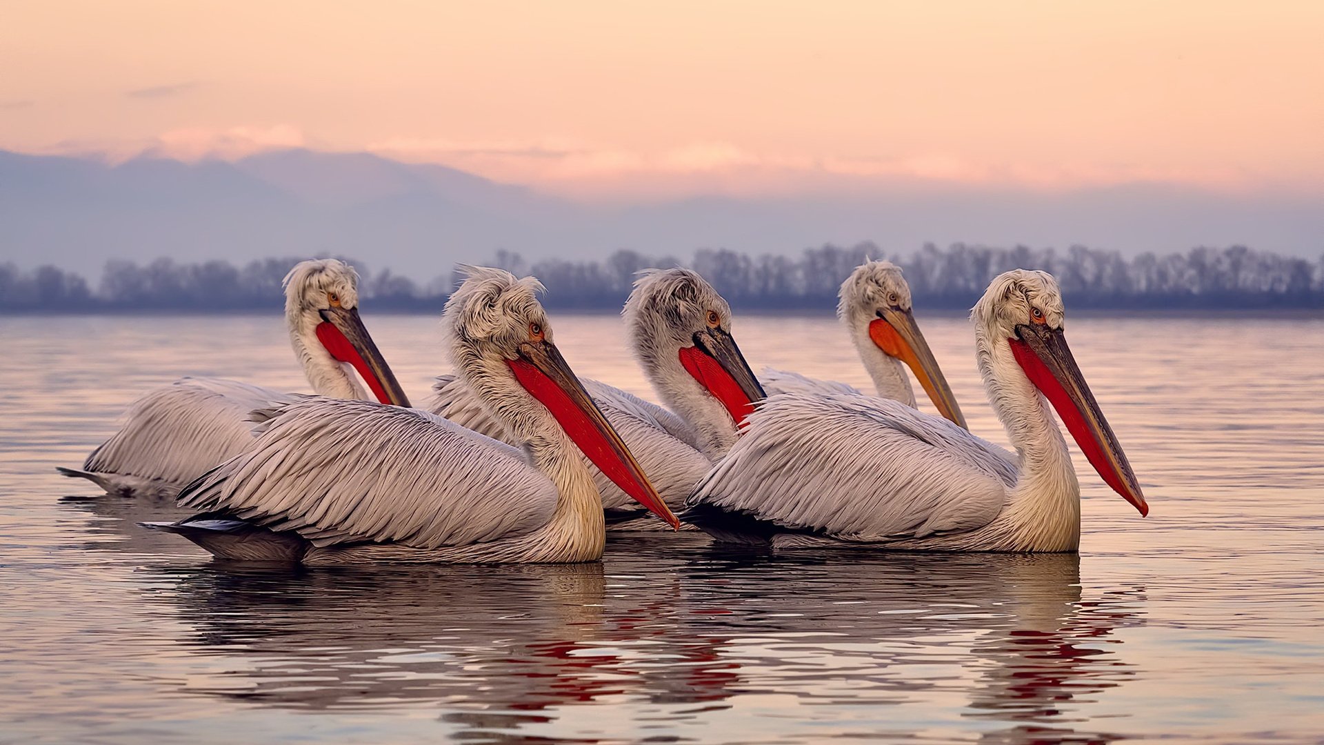 开云体育官方网入口-历史上的“黑马”球队：他们的故事令人难忘，黑马球员