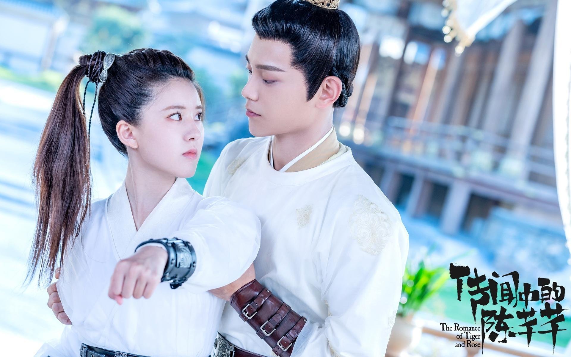 kaiyun中国官方网站-历史对比：今季积分变化与往年同期分析，年度积分排名更新