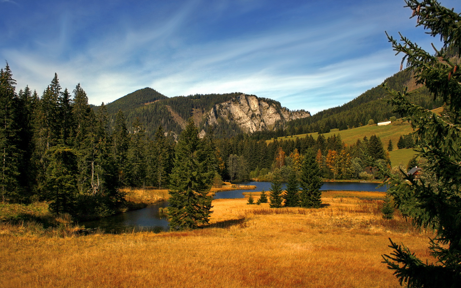 开云官方网页登录-英超激战再燃，精彩进球与关键扑救交替上演，英超最新进球集锦