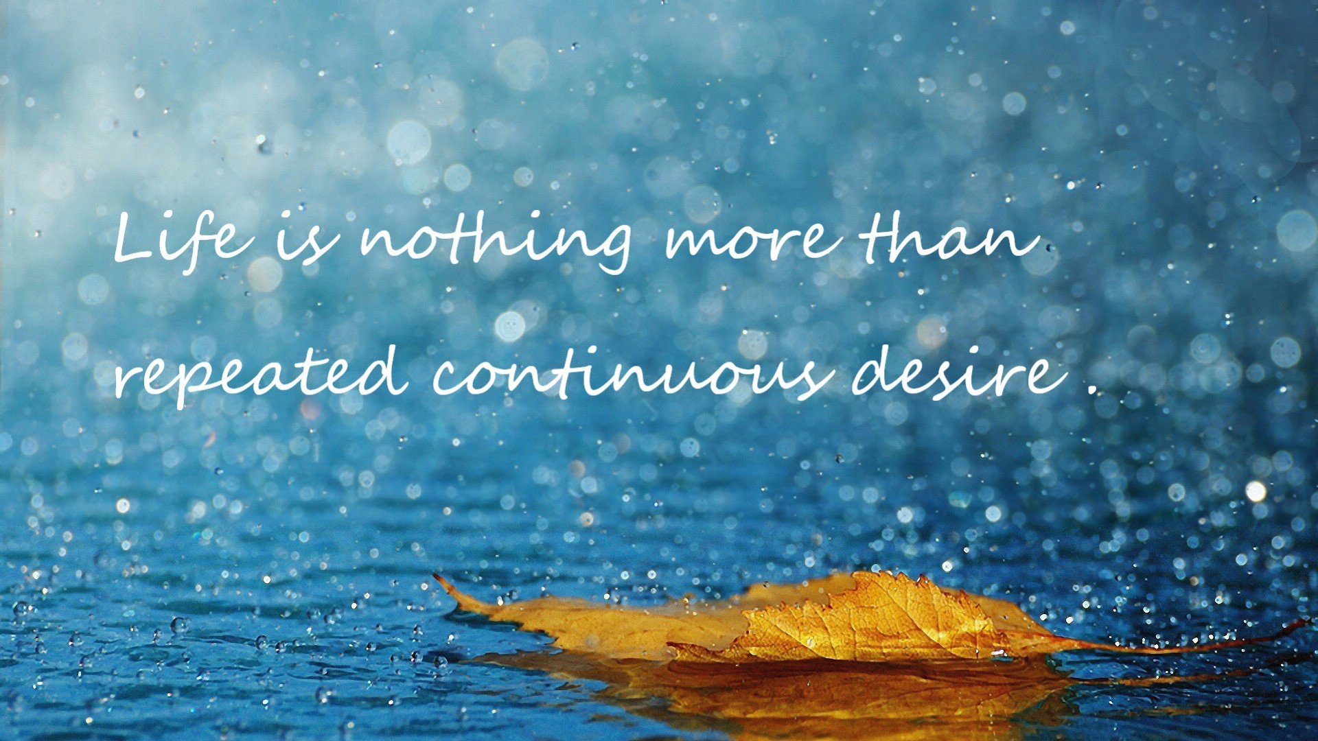 开云官网登录-FPX团队配合日益默契，fpx团队照