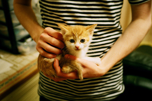 kaiyun中国官方网站-亚洲篮球冠军难题：韩国男篮宣布新教练团队加盟，韩国男篮队员