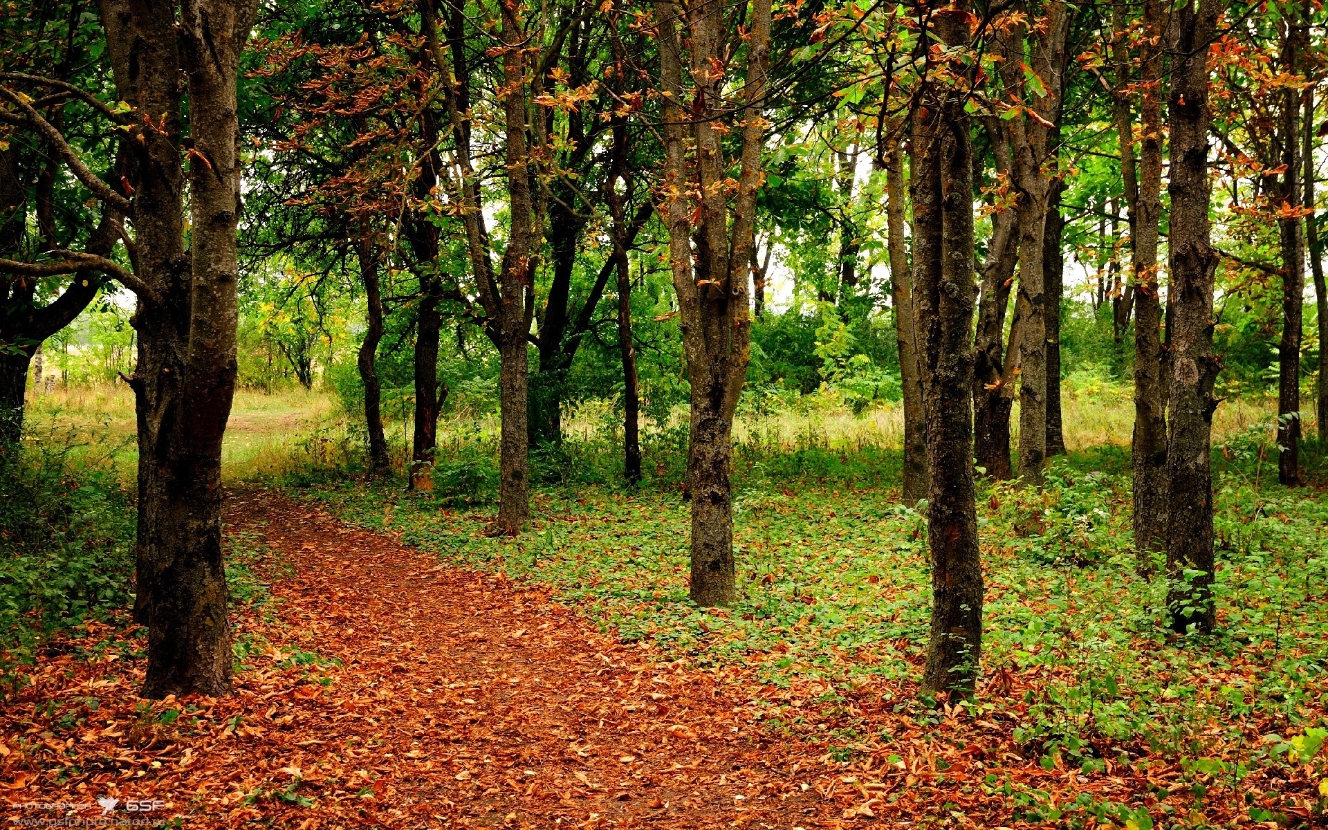 开云中国大陆-雷吉斯期待莫拉塔回归，AC米兰教练信心十足，ac米兰莫雷诺