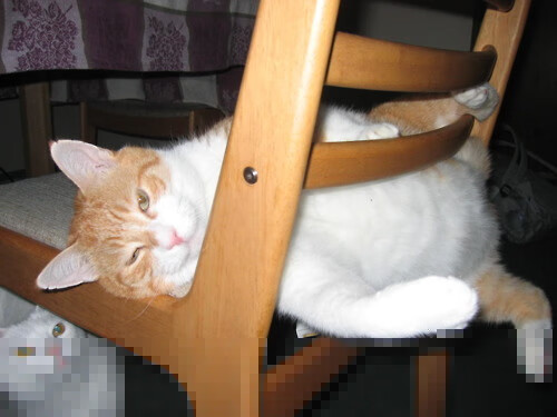 开云·Kaiyun网页版-马刺主场艰难战胜灰熊，吉诺比利砍下分，吉诺比利回归马刺