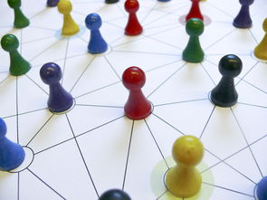 开云入口-中国篮球教练员领导力培养路径，中国篮球协会篮球教练员等级