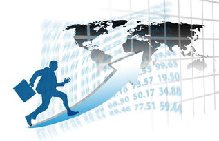 kaiyun 开云体育-中国篮球职业联赛赛事运营管理优化研究，中国篮球竞赛体系