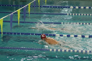 开云体育网页版入口-国际游泳精英赛中国队多人破纪录，国际游泳冠军系列赛