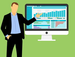 KAIYUNAPP-篮球训练营管理模式优化研究，篮球训练营运营模式