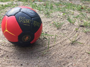 开云体育APP下载-“沙滩赛场燃爆天府新区，沙滩手球和合球上演极限对决”