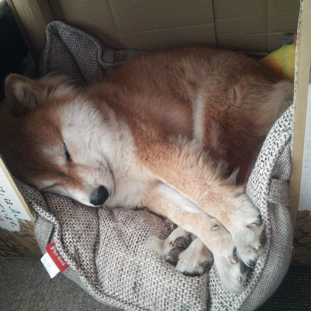 KAIYUNAPP-利物浦整体推进打出高效转换节奏，利物浦walk along