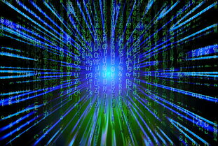 开云·Kaiyun网页版-新加坡队未来之路：如何在全球乒乓赛事中争夺更多荣誉，新加坡乒乓球厉害吗