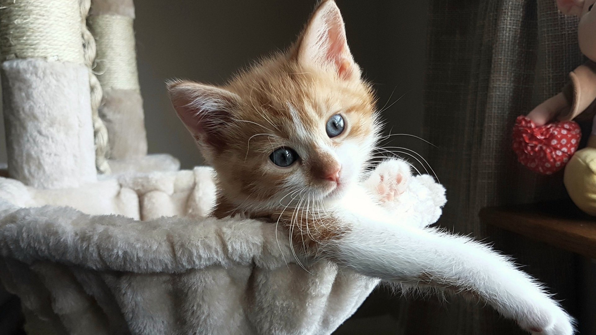 开云网页版-中超青训梯队实行训练量积分制鼓励自我管理，中超俱乐部青训梯队