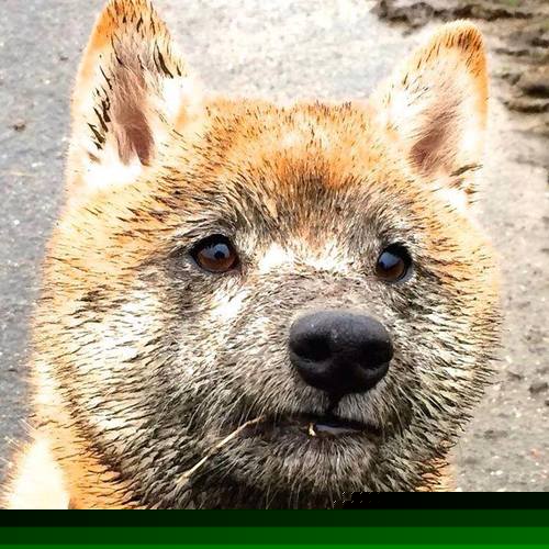 开云·体育全站登录地址-李冰洁突破自我 为中国队再添光芒，李冰洁比赛