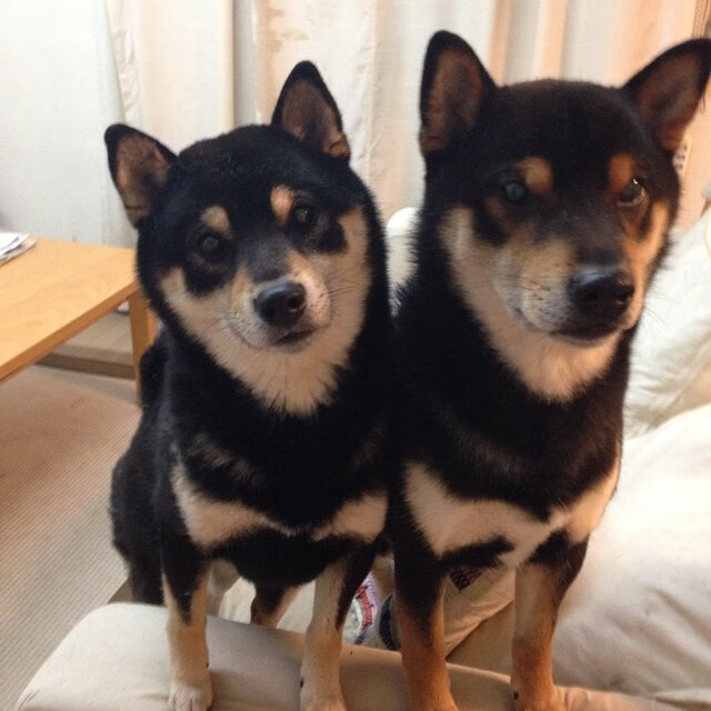 开云官方网站-水球比赛中立代表队A配合默契，水球比赛每队上场几人