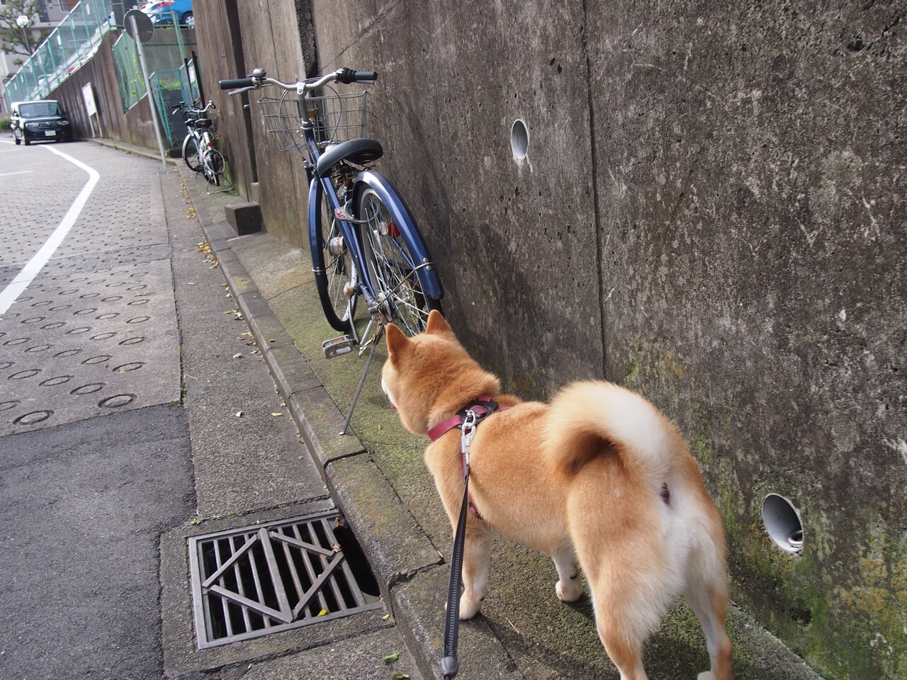 开云中国-西甲超级破门：精彩绝伦，激动人心！，西甲西超杯